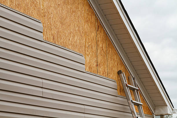 Professional Siding Repair technician working in Clearwater Beach, FL
